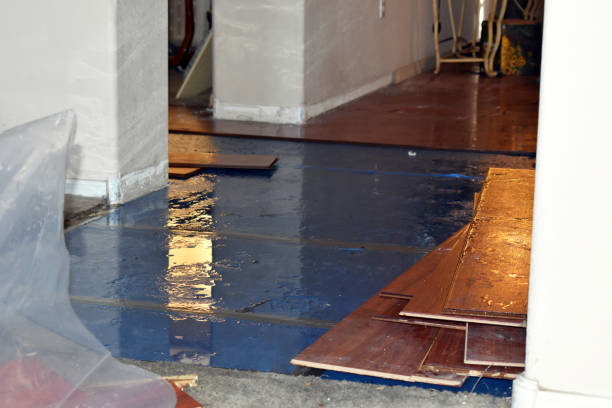 Professional Burst Pipe Cleanup technician working in Preston, TX